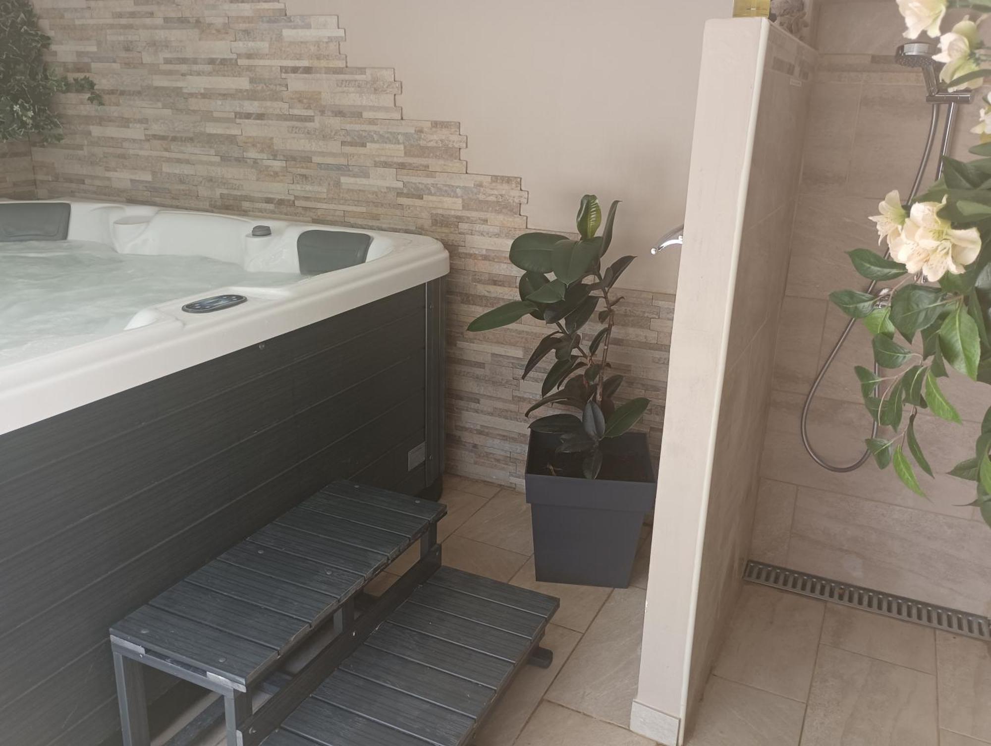 MimiLou rez-de-jardin avec piscine&spa Agde Cameră foto